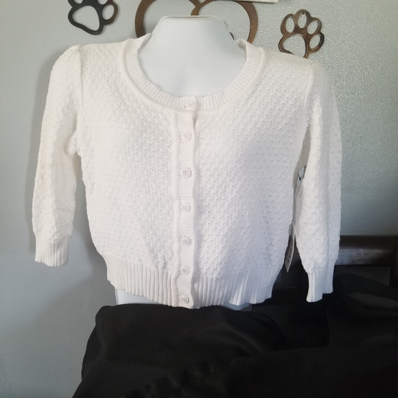 Off White Crop Light Weight Sweater - Picture 1 of 8